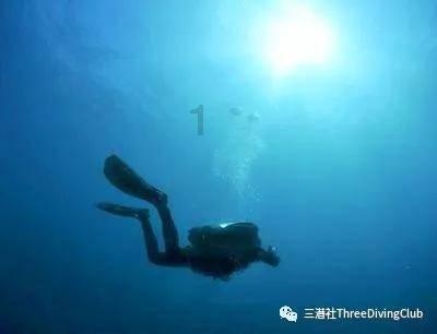 馒头的面粉用低筋和高筋的有什么区别吗?知识星球-专业知识共享平台